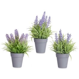 Ibergarden Maceta Lavanda Decorativa Surtida con Variedad de Colores y Materiales 14x21x14 cm (24 Unidades)