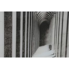 Cuadro Home ESPRIT Aluminio Cristal 80 x 2,5 x 120 cm