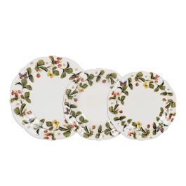 Santa Clara Vajilla 12Pcs Aranjuez Stoneware Vitrificado, Resistente, Lavavajillas y Microondas (2 Unidades)