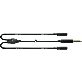 Cordial Cable Y Jack Estéreo/2 Mini-Jacks Estéreo Hembra 30 Cm Precio: 16.50000044. SKU: B1EAPVHZGS