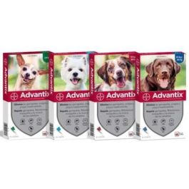 Elanco Advantix Spot On Perro ≤4 kg Pip 4x0,4 mL Precio: 32.5900003. SKU: B1FAQEMJMA