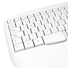 Phoenix Technologies Teclado Ergonómico Inalámbrico K201 2.4Ghz Plug & Play para Windows MacOS Linux