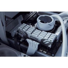 Kingston FURY Renegade Módulo de Memoria DDR5 16GB (1x16GB) 8000MT/s KF580C38RW-16