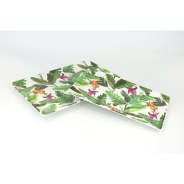 Alfares Bandeja Melamina con Brillo 25 x 15 cm para Frutas, Bananera, Hogar y Cocina, Color Surtido (12 Unidades)