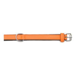 Gloria Collar Piel Acolchado Naranja 45 cm X 20 mm para Perro