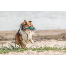 Pelota para Mascotas Trixie Turquesa TPE Bola ø 6 x 23 cm