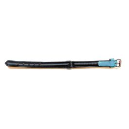 Gloria Collar para Perro de Piel Auténtica Acolchado Suave Triple Capa, Máxima Comodidad, 35 cm x 15 mm, Turquesa