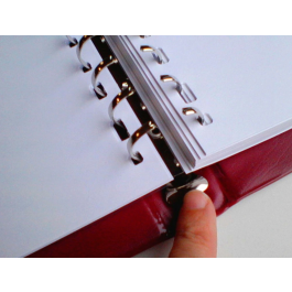 Liderpapel Libro de Actas DIN A4 con 30 Anillas, 100 Hojas Movibles Taladradas y Numeradas, Color Burdeos