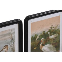 DKD Home Decor Cuadro Cottage Negro Verde Cristal MDF 1.8 x 50 x 40 cm (6 Unidades)