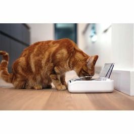Sureflap Dispensador Automático de Alimentos SureFeed Hermético para Gatos y Perros Pequeños, Conserva Frescura y Reduce Olores