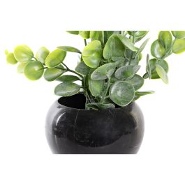 DKD Home Decor Planta Scandi Blanco Negro 12 x 15 x 12 cm (12 Unidades)