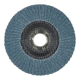 Wolfcraft Disco de Láminas Abrasivo Ø125 mm Grano 40