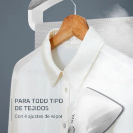 Plancha de Vapor Rowenta