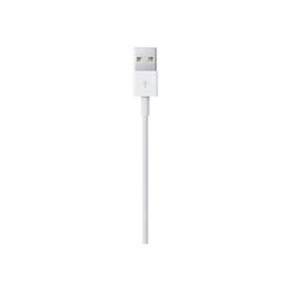 Apple Cable USB a Lightning 0.5M ME291ZM/A