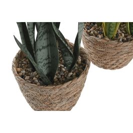 DKD Home Decor Planta Verde Amarillo 13 x 35 x 13 cm (6 Unidades)