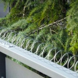 Euro Birds Disuasorio espiral para aves, acero inoxidable, 5m, ideal para balcones