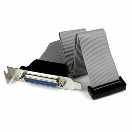 Adaptador Startech PLATE25F16LP Adaptador Startech PLATE25F16LP