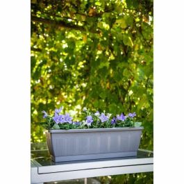 Garden Id 08200539 Jardinera Terraflor Antracita 60cm con Reserva de Agua, Reciclada y 100% Reciclable, Alta Durabilidad