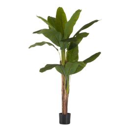 Planta Decorativa Ibergarden BRS-ADI168 Plástico Cable de hierro Bananera 80 x 150 x 80 cm Precio: 57.49999981. SKU: S3611154