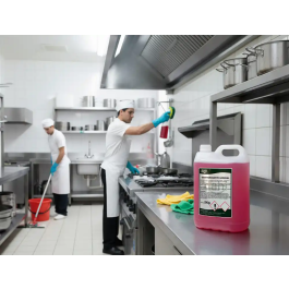 Dahi Limpiador Desengrasante Multiusos Garrafa 5 Litros