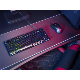 Trust GXT 833 Thado Teclado Gaming USB Tenkeyless (TKL) con Retroiluminación LED, Anti-Ghosting, Negro y Plata