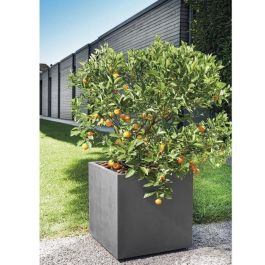 Deroma 9H834SZ Maceta Cubo Millennium R Antracita con Reserva de Agua y Ruedas 49 cm