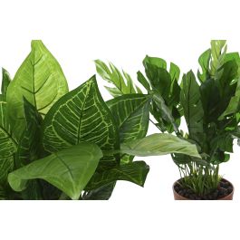 Planta Tropical DKD Home Decor Verde 20 x 45 x 20 cm (6 Unidades) Planta Tropical DKD Home Decor Verde 20 x 45 x 20 cm (6 Unidades)
