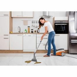 Thomas THO4005435112225 Aspiradora Quitamanchas 2 en 1 Succión Potente y Sistema Eficaz de Eliminación de Manchas