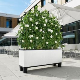 Lechuza LEC4008789150004 Jardinera Trio Cottage 30 Kit Completo Blanca Resistente a la Intemperie Lechuza LEC4008789150004 Jardinera Trio Cottage 30 Kit Completo Blanca Resistente a la Intemperie
