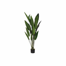Planta Decorativa DKD Home Decor 50 x 50 x 160 cm Polietileno Verde Ave del paraíso Urbano Precio: 85.69000022. SKU: B1G2B5545D