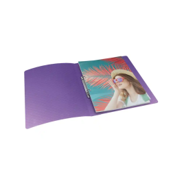 Esselte Colour Breeze Carpeta 2 Anillas Redondas 25 mm DIN A4 Polipropileno Colores Surtidos