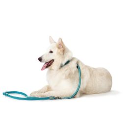 Hunter Correa Ajustable Hilo para Perro Entrenamiento 200cm x 2cm Turquesa con Mosquetón, Malla 3D y Nylon Resistente Precio: 22.94999982. SKU: S6101297