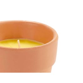 Vela Vaso Barro Citronela Ibergarden 8CM (48 Unidades) Vela Vaso Barro Citronela Ibergarden 8CM (48 Unidades)