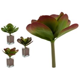 Planta Hojas Redonda Grande 3 Col Surt Ibergarden 27X29CM (12 Unidades) Precio: 62.68999957. SKU: B13TKMCKWB