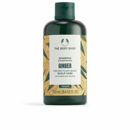 Ginger shampoo 250 ml Precio: 7.95000008. SKU: B1CXD8AHWL
