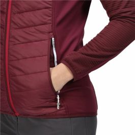 Chaqueta Deportiva para Mujer Regatta Andreson VI Hybrid Rojo Oscuro