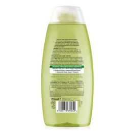 Gel de Baño Hidratante Con Aloe Vera Bioactive Organic Dr.Organic DR00109 250 ml