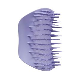 Scalp brushes