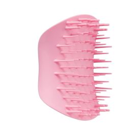 Scalp brushes