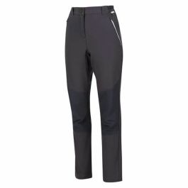 Pantalón de Chándal para Adultos Regatta Questra V Seal Gris oscuro Precio: 50.58999957. SKU: S64142833