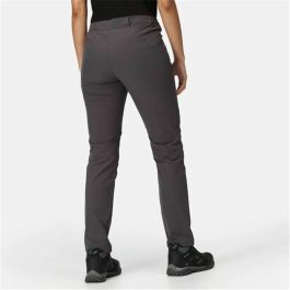 Pantalón de Chándal para Adultos Regatta Questra V Seal Gris oscuro