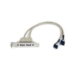 Cables Ordenador - Movilidad Startech Adaptador Placa Usb A H 2 Puertos