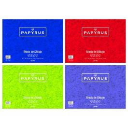 Bloc De Dibujo Papyrus Con Espiral Liso 2 Taladros Fº Prolongado 160G. 20H 10 unidades Precio: 33.69000024. SKU: B19ART3WHR