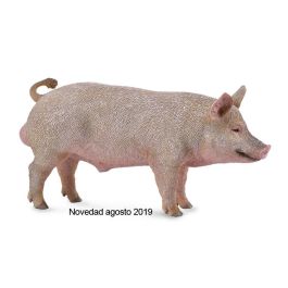 Cerdo Macho - M - 88864 - Collecta Precio: 5.9532. SKU: B159MQEG2V