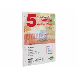 Recambio Liderpapel Cuarto Pautaguia 100 Hojas 75 gr Cuadriculado Pautado 5 mm Con Margen 6 Taladros