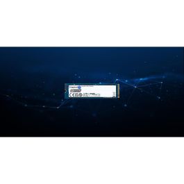 Disco Duro Kingston SEDC2000BM8/480G 480 GB SSD