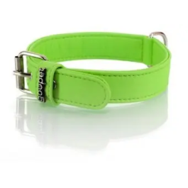 Collar Elements Ver 40-45 L520 A30 Precio: 13.89000019. SKU: B1JBN9GZGZ