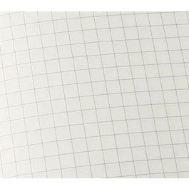 Cuaderno Moleskine Clasico Tapa Blanda 13X21 192H 70Gr. Cuadriculada Con Goma Negra