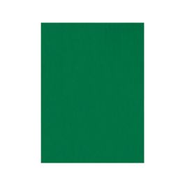 Fieltro Liderpapel 50x70 cm Verde 160 gr-M2 10 unidades