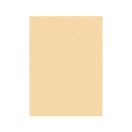 Fieltro Liderpapel 50x70 cm Color Carne 160 gr-M2 10 unidades